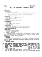 Bài 7: Cấu tạo tế bào thực vật