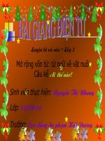 Bai: luyen tu va cau