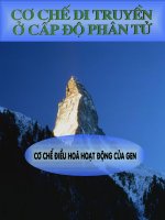 Cơ chế điều hoà hoạt động gen