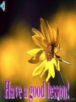 Unit 10: Lesson 1: A1-2/ p.104-105