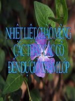 Tiết 94: Mùa xuân nho nhỏ