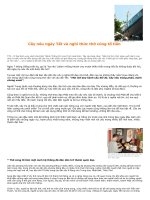 Cây nêu ngày Tết