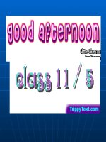 Unit 12: The asian Games