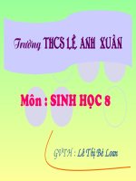 Cơ quan phân tích thính giác