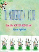 Tiết 114:Lựa chọn trật tự từ trong câu