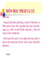 phap luat dai cuong