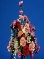 Chương II - Bài 7, 8: Vị trí tương đối của hai đường tròn