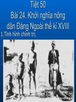 Khởi nghĩa nông dân Đàng Ngoài thế kỷ XVIII