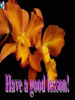 Unit 2: Lesson 6: C2-4/ p.28-29