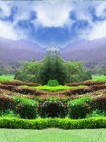 Những đứa trẻ