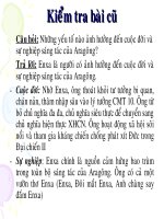 Đương đầu với đàn cá dữ