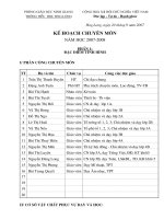 Kế hoạch chuyên môn