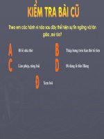 Bài 16 tiết 28 Quyền tự do tín ngưỡng