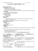 bai8:Quang hop o thuc vat