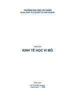 Giáo trình kinh tế vi mô ĐH An Giang