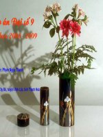 Giáo án Đại số 9