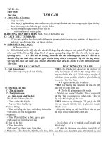 Tiết 22, 23: Tấm Cám