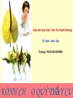 Tiết 23: Quang hợp