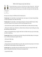 Kiểm tra xe qua màu sắc buzi