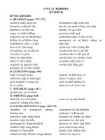 E11NC UNIT 12: TV,NP,BT