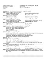 KIEM TRA HOC KY II_LY 6