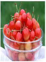 Bài 28: Xây dựng chủ nghĩa xã hội ở miền Bắc