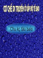 Bài 28 - SH 10 - Chu kỳ tế bào