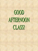 Unit 14. The World Cup. Reading