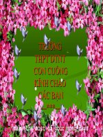 Chính sách xã hội