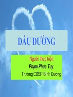 DẤU ĐƯỜNG