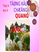 ôn tập chương 1 Quang học