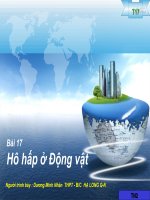 BAI 17: hô hấp động vật