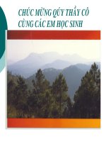 Chương II. Bảo vệ và khoanh nuôi rừng