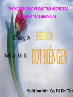 Tiết 22: Đột biến gen