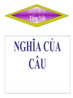 Nghia cua cau