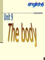 Unit 9: Body
