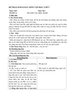 Tap doc 5(du ca nam)