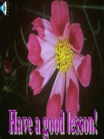 Unit 4: Lesson 2: A3-5/ p.45-46