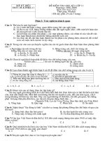 Đề thi & đáp án thi HKI lớp 11 Môn Ngữ văn