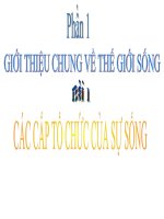 cac cap to chuc song