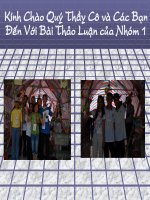 Ôn tập văn học cách mạng Việt Nam 1930 - 1945