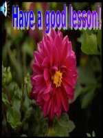 Unit 11: Lesson 5: B5/ p 118