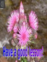 Unit 1: Lesson 5: C5-6/ p.19