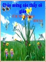 Tam giác đồng dạng