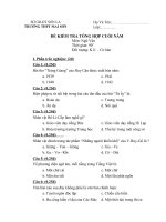 Đề kiểm tra Ngữ văn 11 HKII