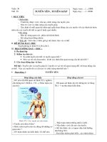 Giáo án Sinh tuần 30