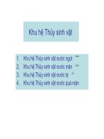 Năng suất sinh học của thủy vực