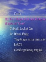 di truyền người