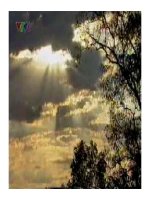 Môi trường và tài nguyên thiên nhiên