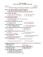 Đề thi HSG tin khối 4